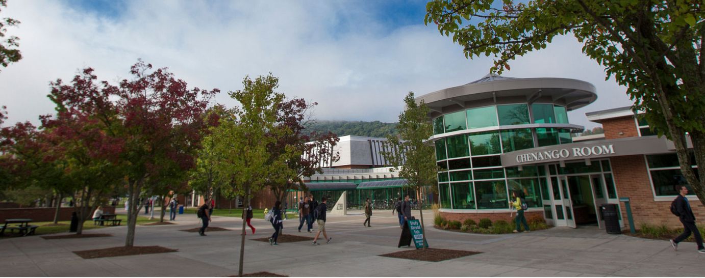 美國(guó)賓漢姆頓大學(xué)