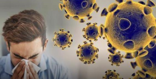 長青藤海外：美國留學生受新冠疫情的影響有多大？